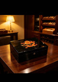 Black & Gold Auspicious Dragon Spanish Cedar Cigar Humidor - 30 Count with Lock